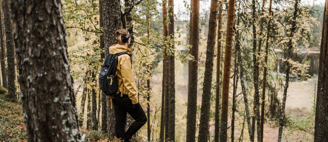 Vaeltaja Petkeljärven harjuilla